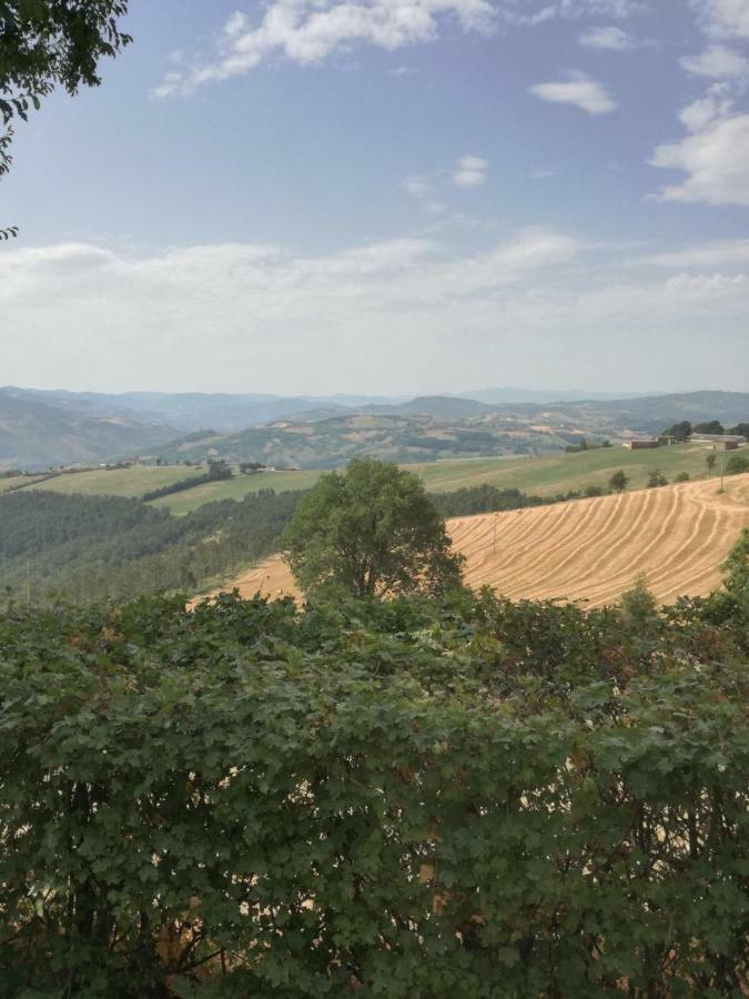 La Furbera B&B Marano sul Panaro Exterior photo